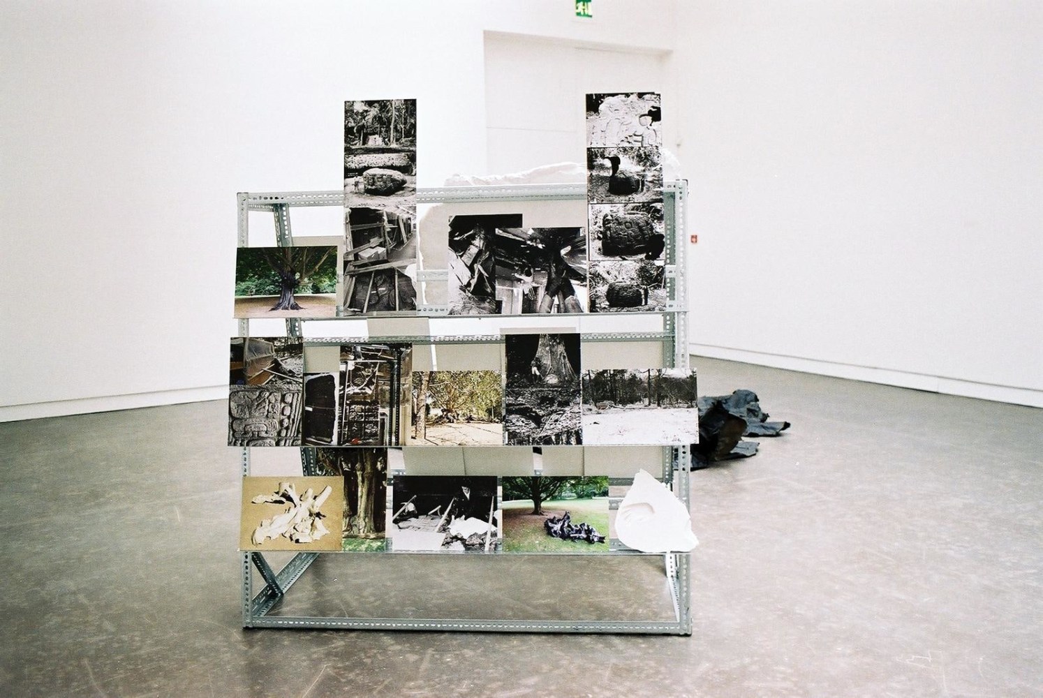 what we caught we threw away, what we didn&amp;rsquo;t catch we kept, 2013

mixed media

variable dimensions

&amp;nbsp;