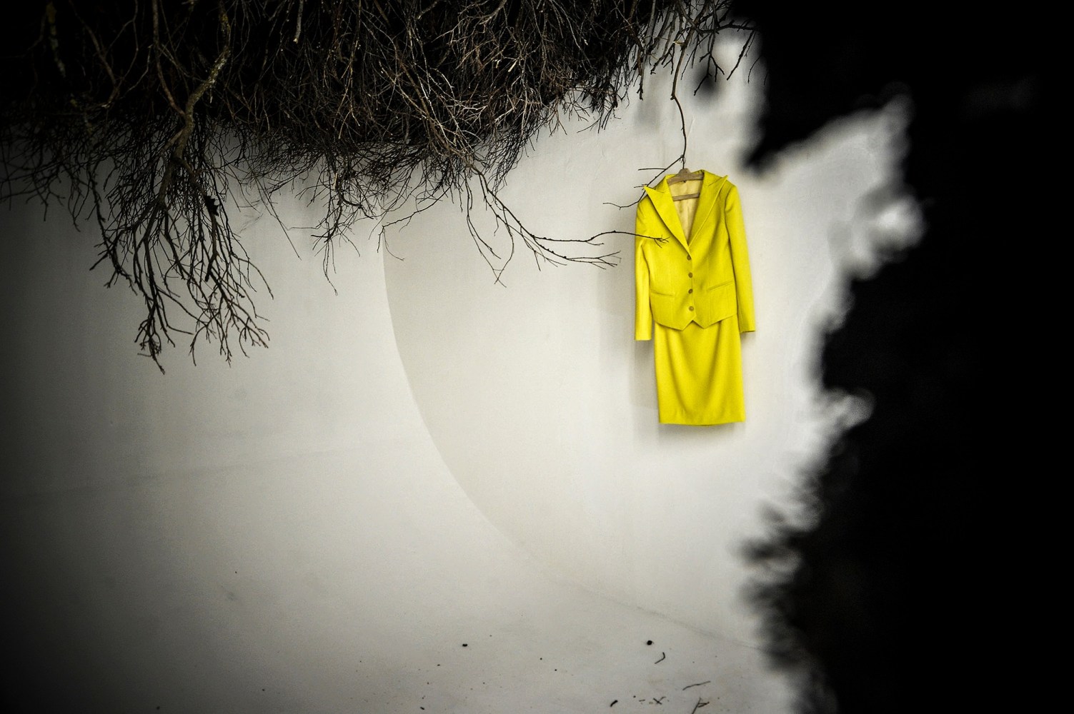 i&amp;#39;m hungry to keep you close. i want to find the words to resist but in the end there is a locked sphere. the funny thing is that you&amp;#39;re not here, nothing is., 2013

varios materiales, aves, ramas, tierra, metal, ropa

dimensiones variables