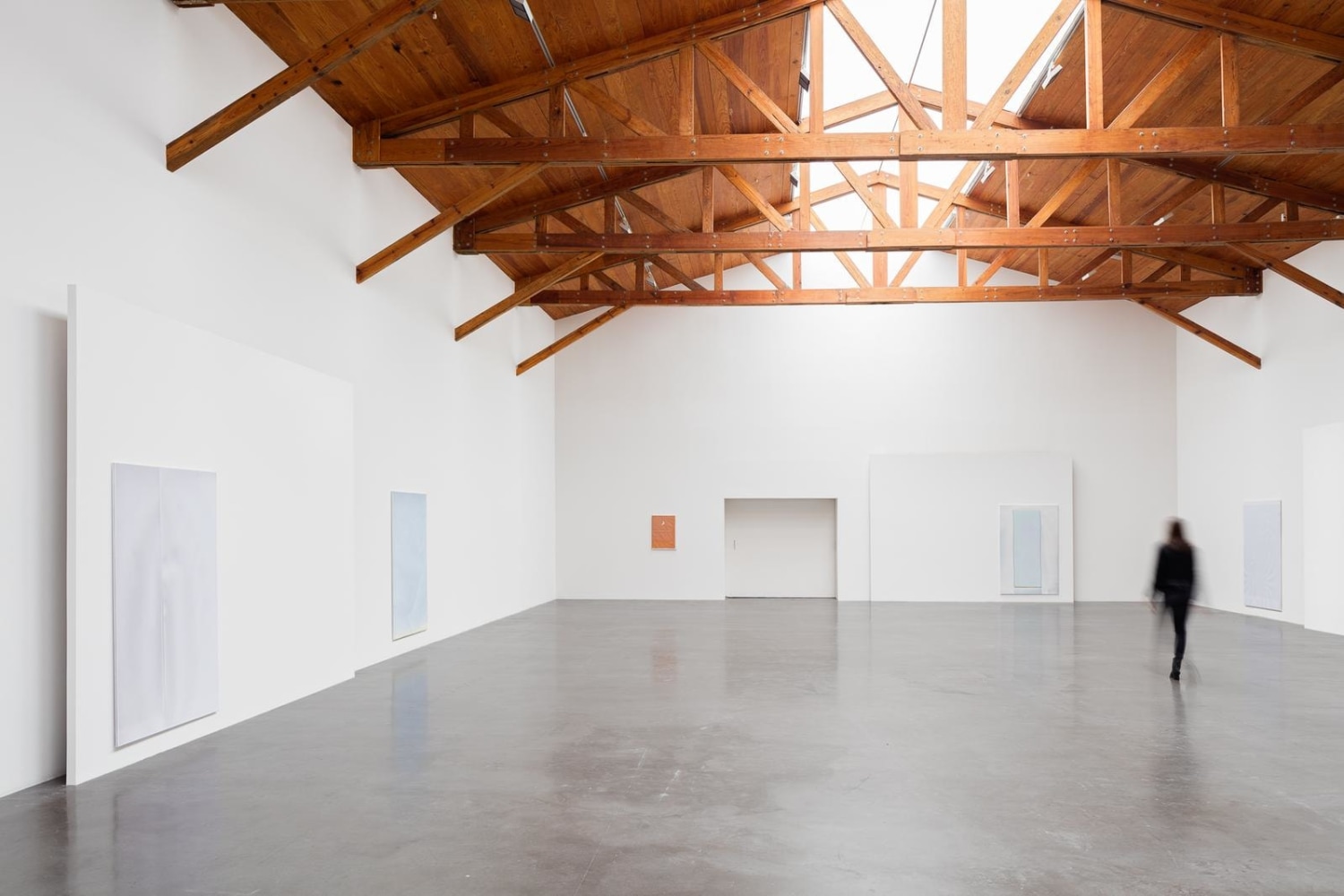 	marieta chirulescu, pale fire, 2016