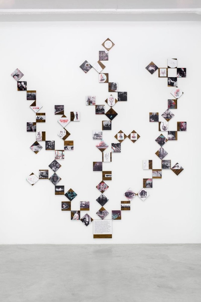 the encyclopedia of the dead: darwin, 2012

set of 71 laminated ink-jet prints mounted on wood

5.9 x 5.9 x .8 in.&amp;nbsp;each

&amp;nbsp;