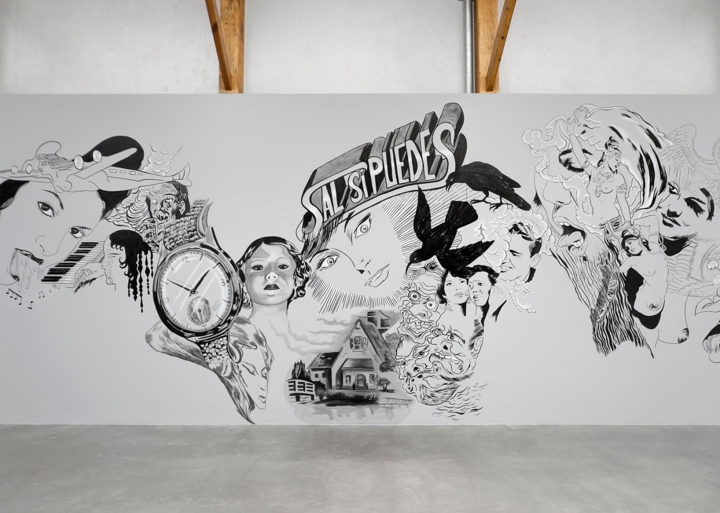 	dr.lakra, installation view, 2009