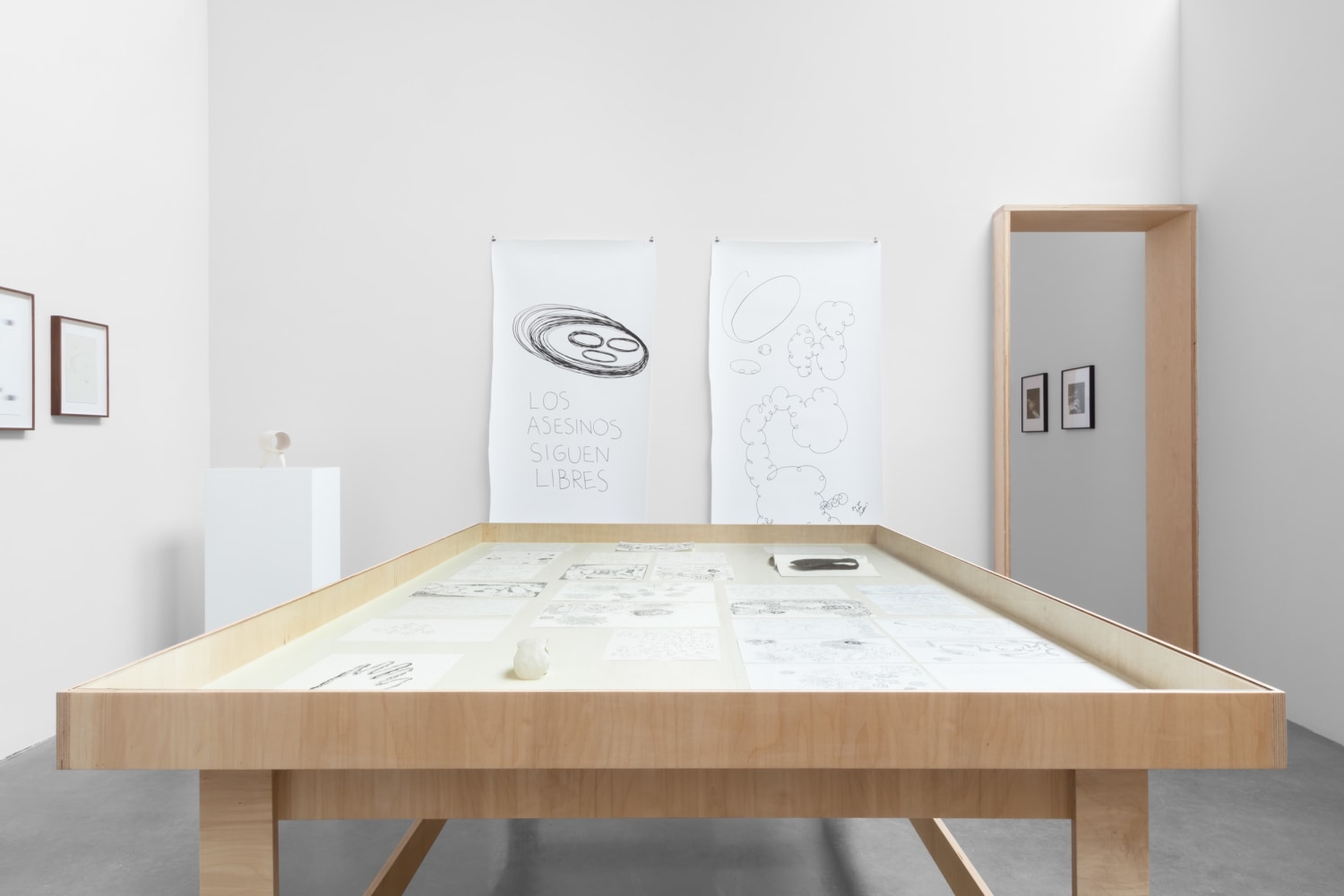 eduardo abaroa, otros espec&amp;iacute;menes, kurimanzutto, 2021