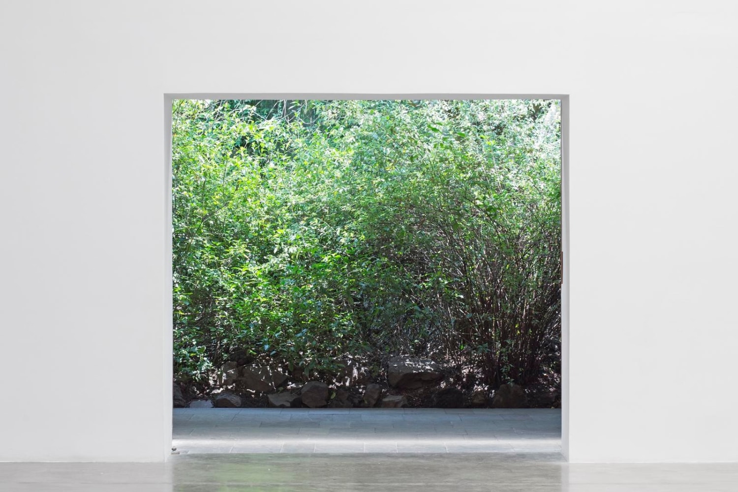 no se puede hacer una revoluci&amp;oacute;n con guantes de seda, kurimanzutto, ciudad de m&amp;eacute;xico, 2016