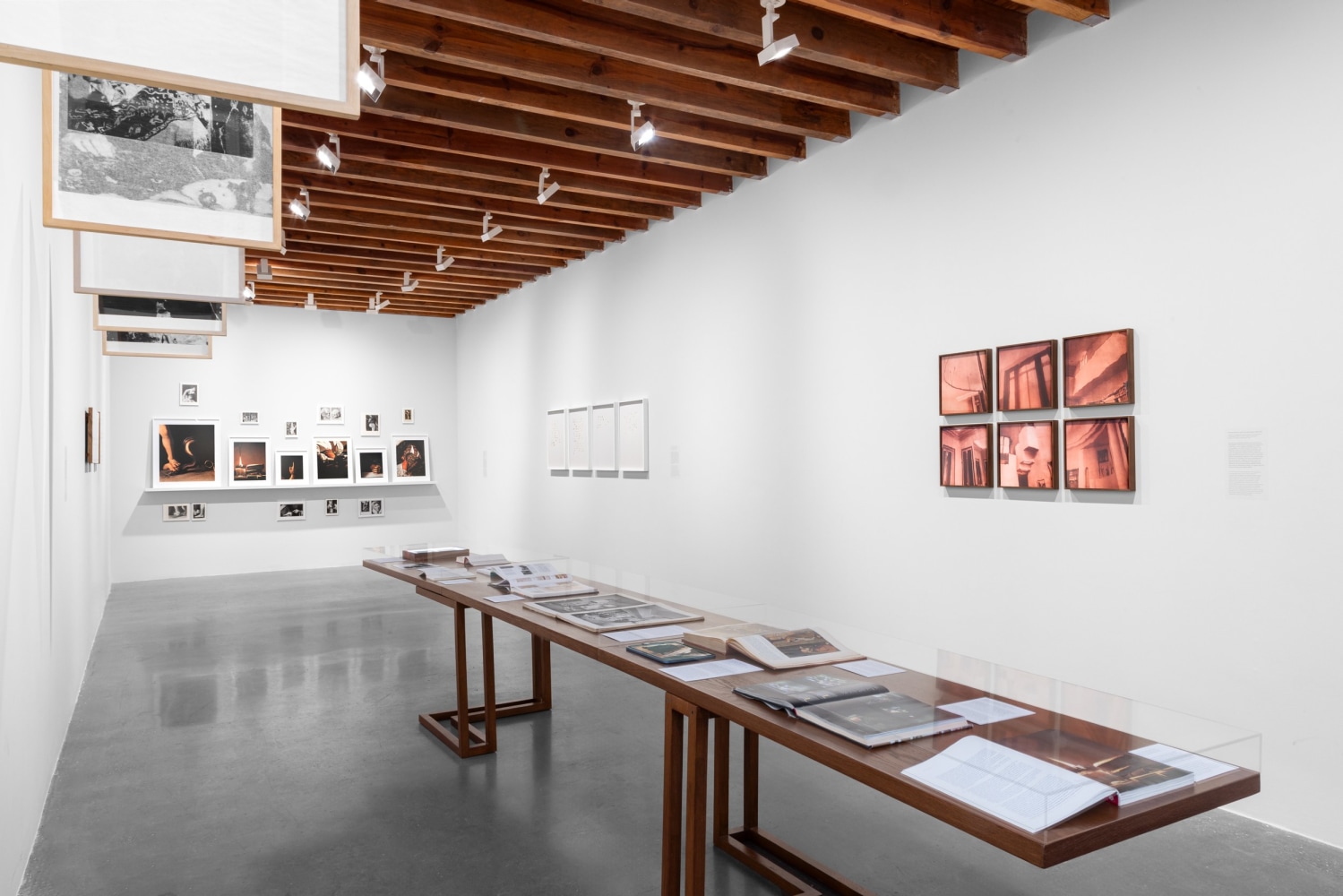 installation view of i&amp;ntilde;aki bonillas: interiors, as part of from the archive, january 18&amp;ndash;march 23, 2024