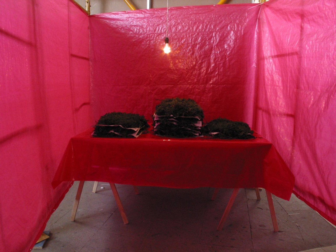 	elephant juice, sexo entre amigos, gabriel kuri, restaurante los manantiales, xochimilco, ciudad de m&amp;eacute;xico, 2003