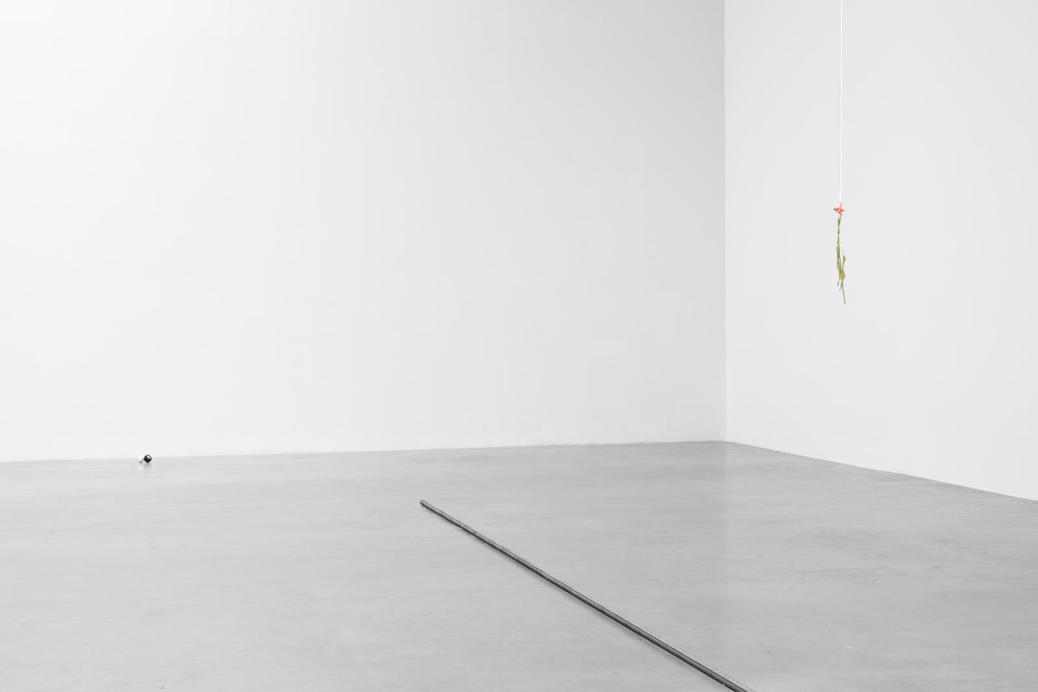 no se puede hacer una revoluci&amp;oacute;n con guantes de seda, kurimanzutto, ciudad de m&amp;eacute;xico, 2016