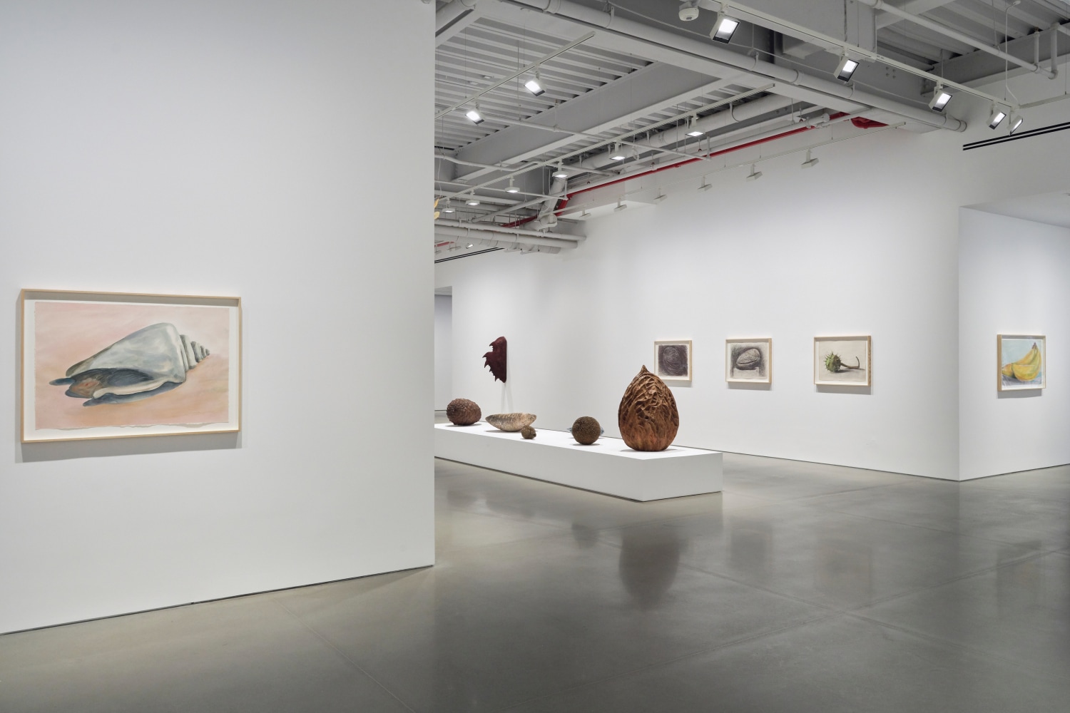 vista de instalaci&amp;oacute;n&amp;nbsp;ming fay: midnite porridge, kurimanzutto nueva york, 2025. foto: zach hyman