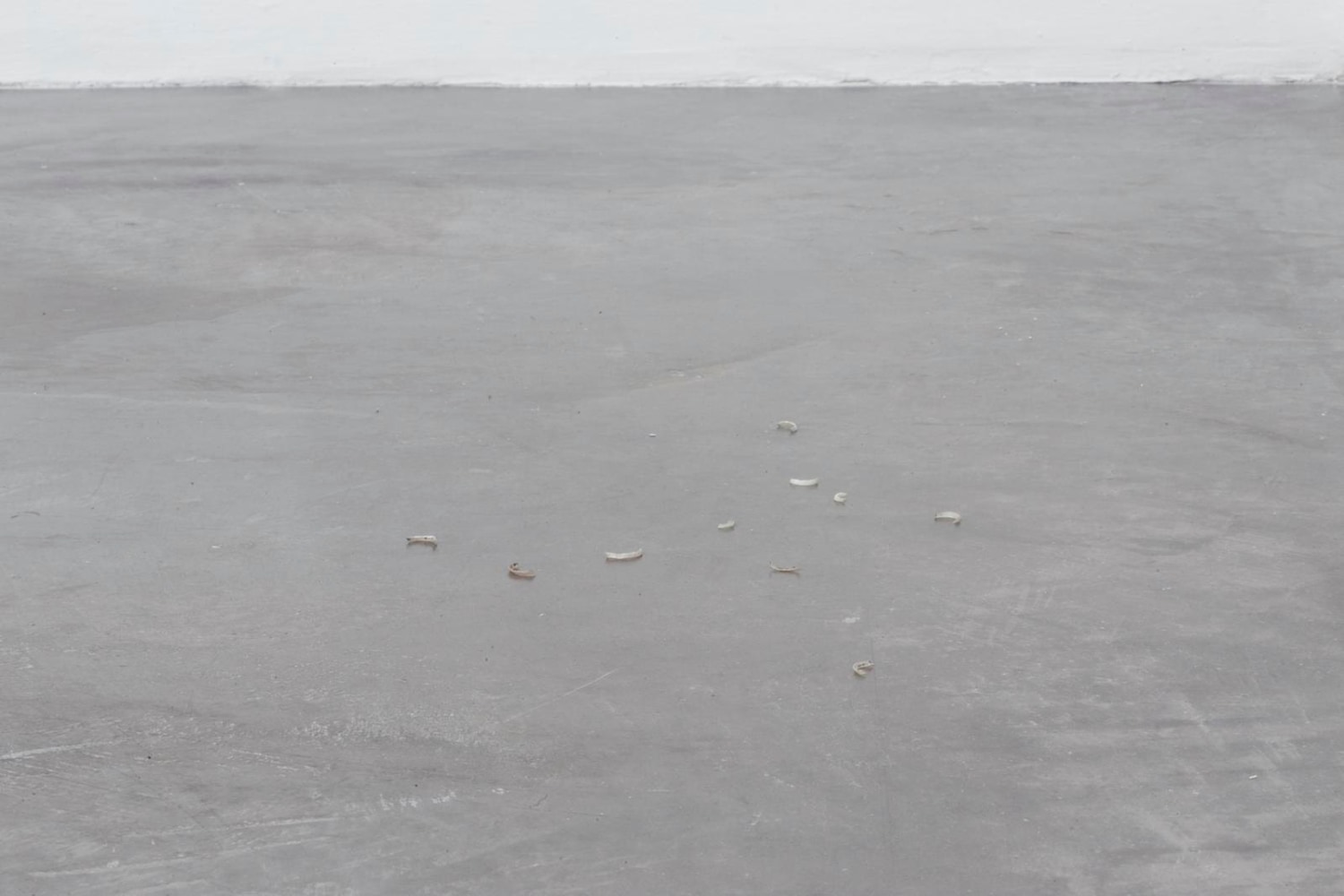 no se puede hacer una revoluci&amp;oacute;n con guantes de seda, kurimanzutto, ciudad de m&amp;eacute;xico, 2016