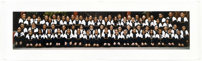 secundaria #5, 2003 impresi&amp;oacute;n digital 8.66 x 40.16 in.