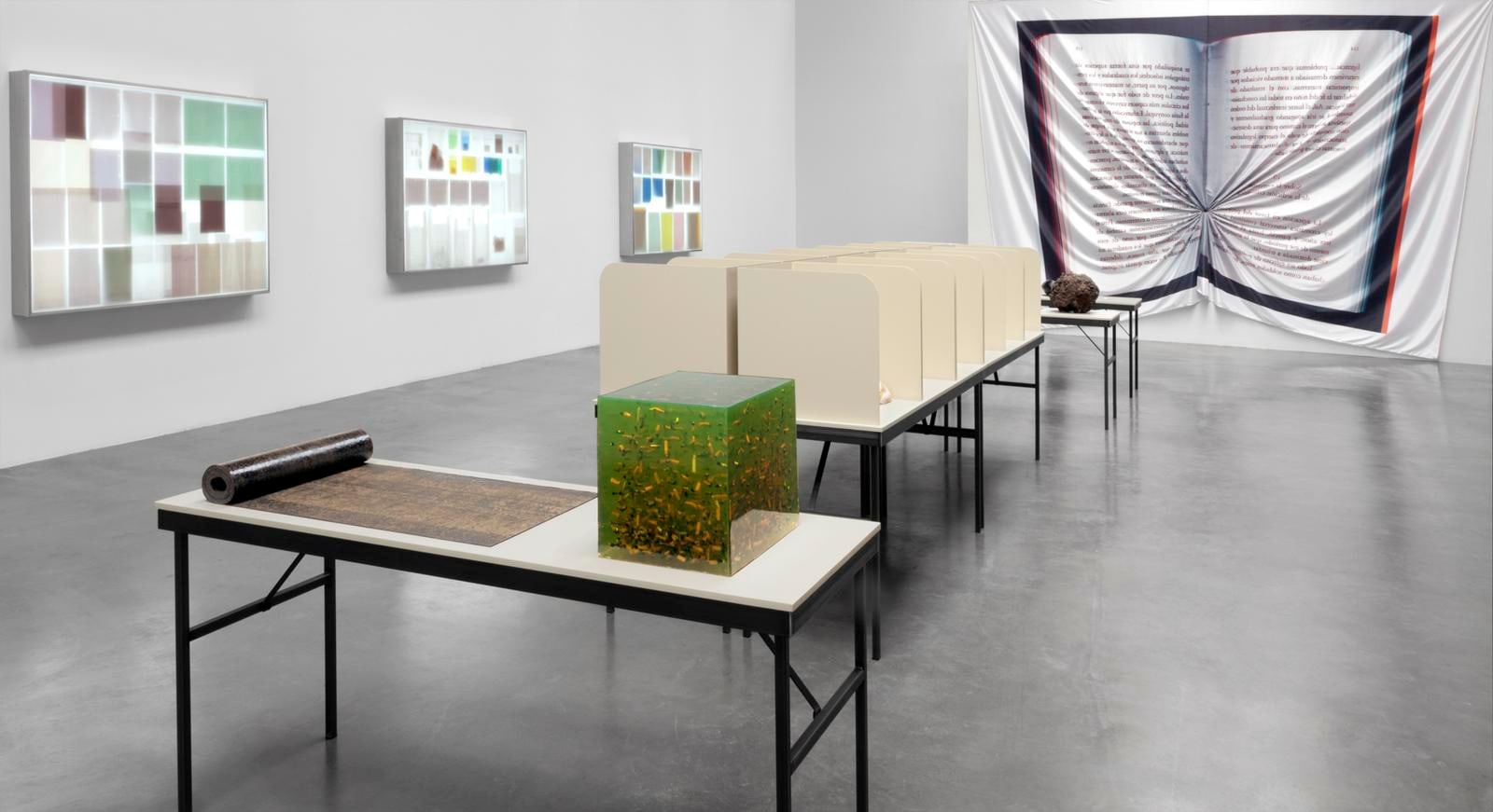 	2012, kurimanzutto, ciudad de m&amp;eacute;xico, 2012