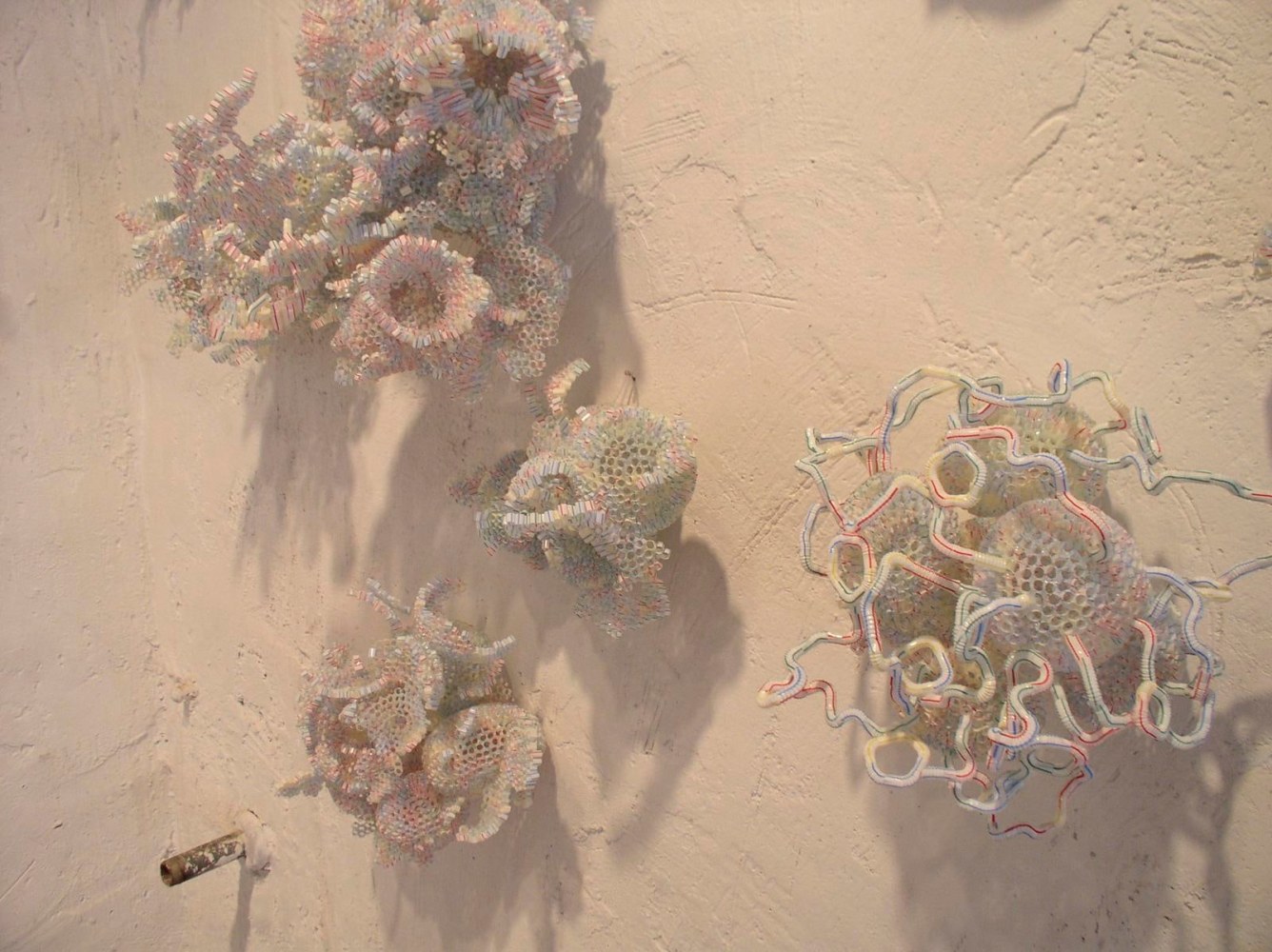 	la cuesta de enero y otros procesos protoecon&amp;oacute;micos, 5 de mayo 18, ciudad de m&amp;eacute;xico, 2005