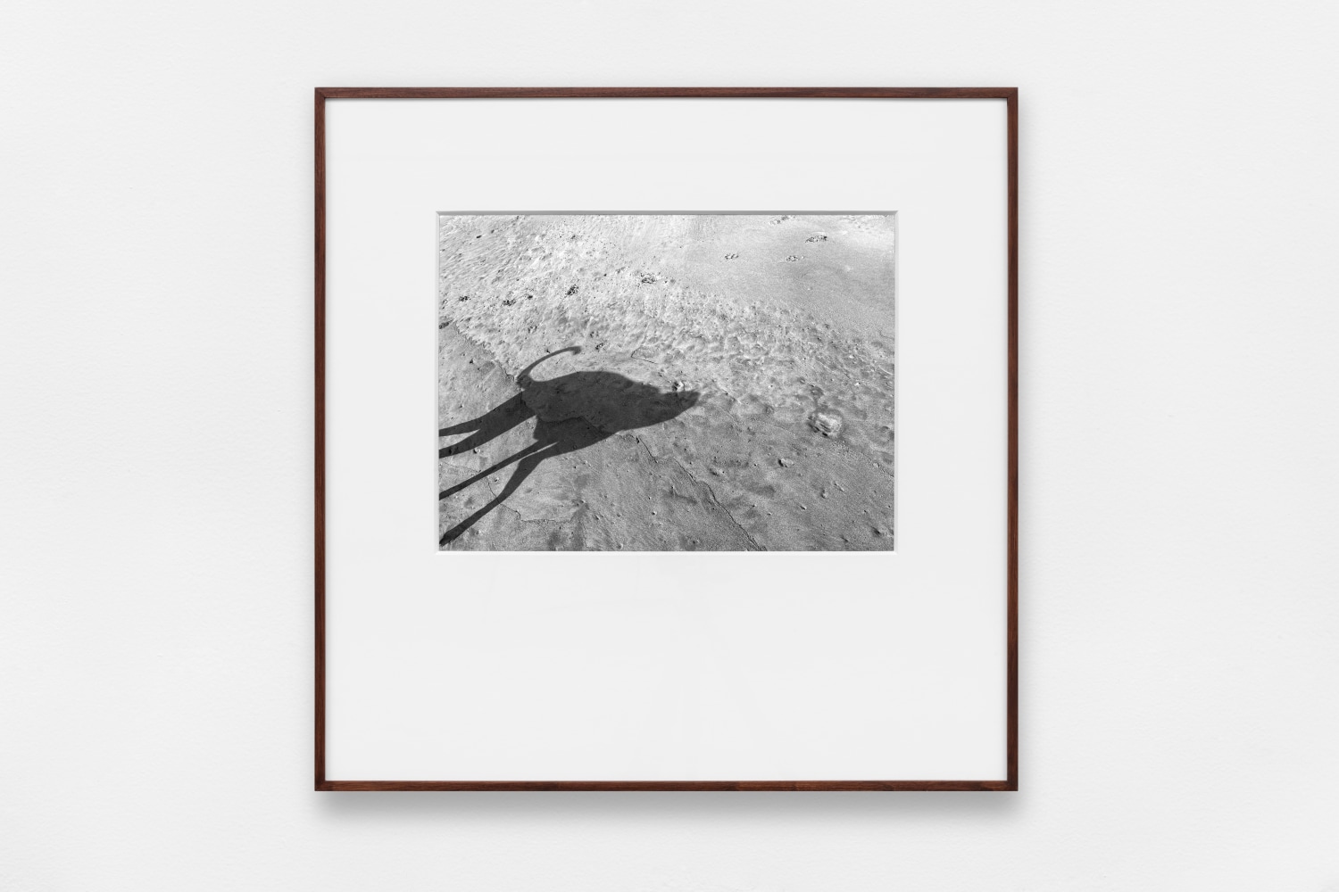 miguel calder&amp;oacute;n, buenavista, guerrero, abril 2020 en siembra, kurimanzutto, ciudad de m&amp;eacute;xico, 2020