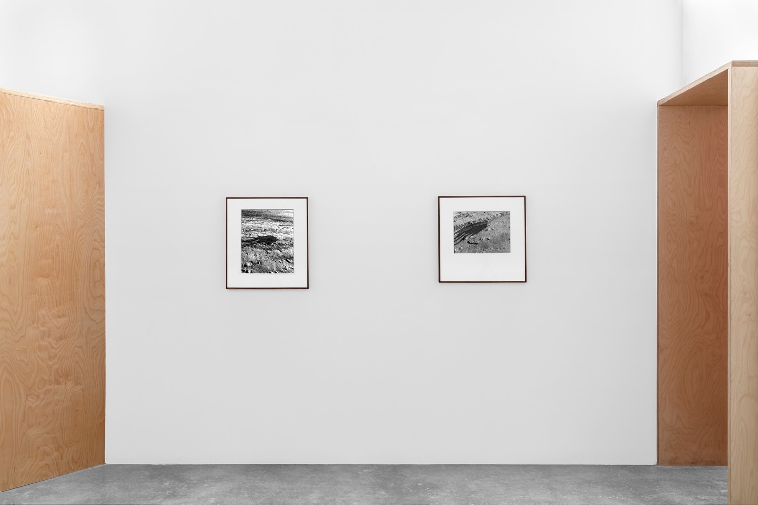 miguel calder&amp;oacute;n,&amp;nbsp;amenaza cocotera (siembra 12, part 2) kurimanzutto, mexico city, 2020