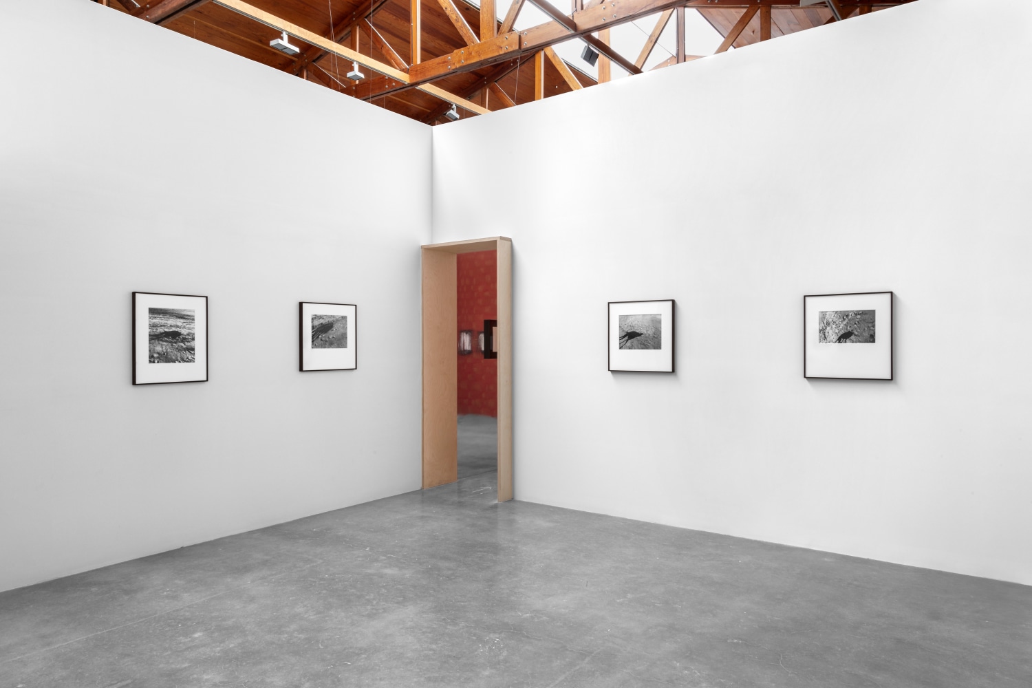 miguel calder&amp;oacute;n,&amp;nbsp;buenavista, guerrero, abril&amp;nbsp;2020, kurimanzutto, ciudad de m&amp;eacute;xico, 2020