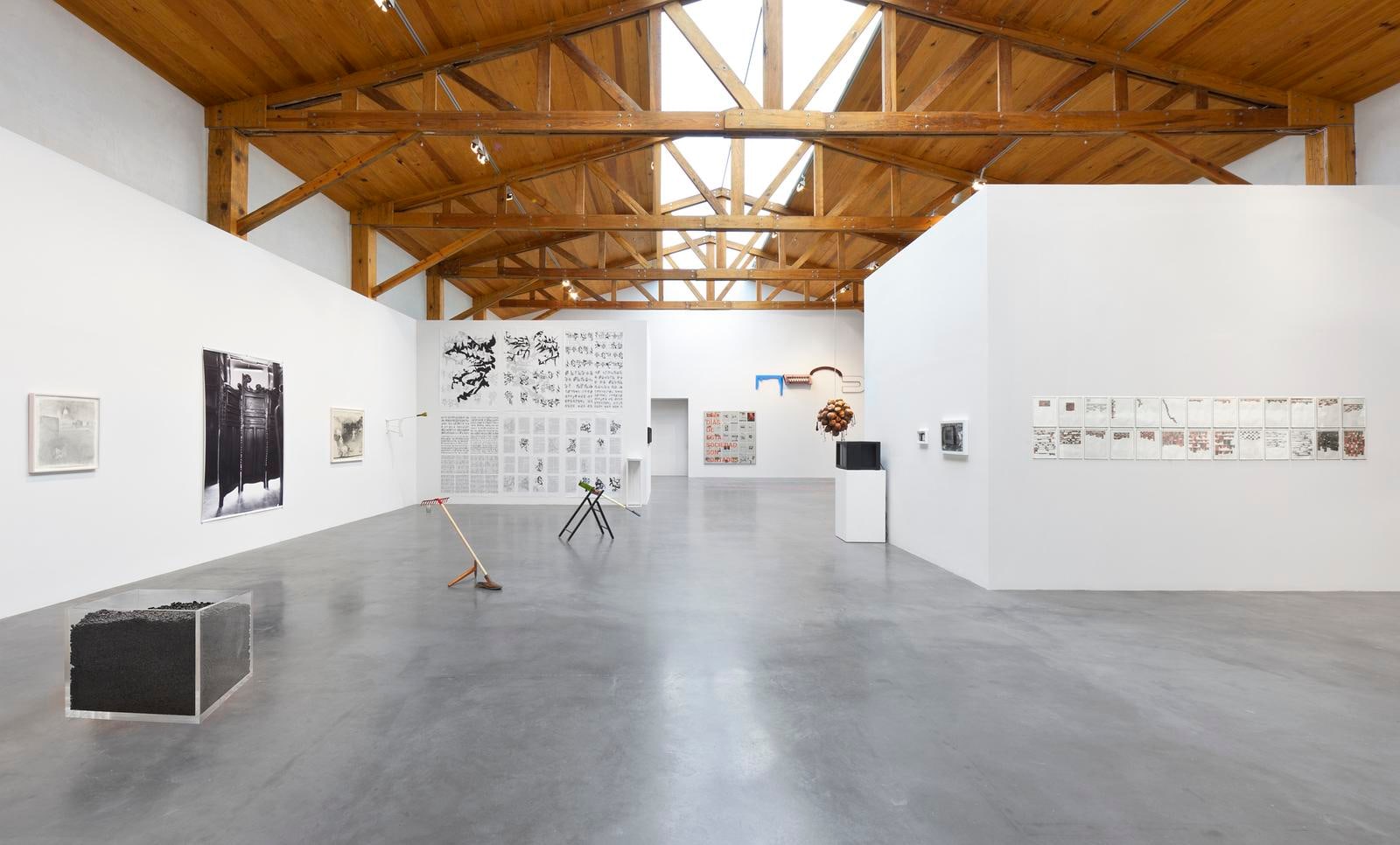 	estrella distante, kurimanzutto, mexico city, 2011