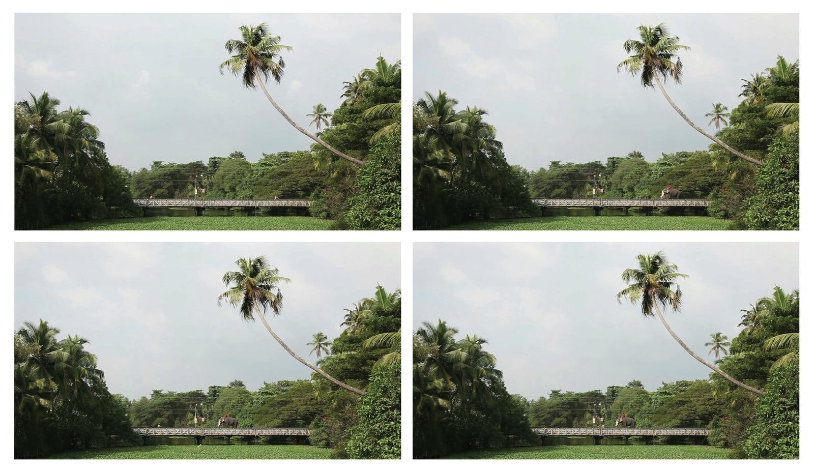 narrow day, 2011

video

4:54&amp;nbsp;min

&amp;nbsp;

&amp;nbsp;