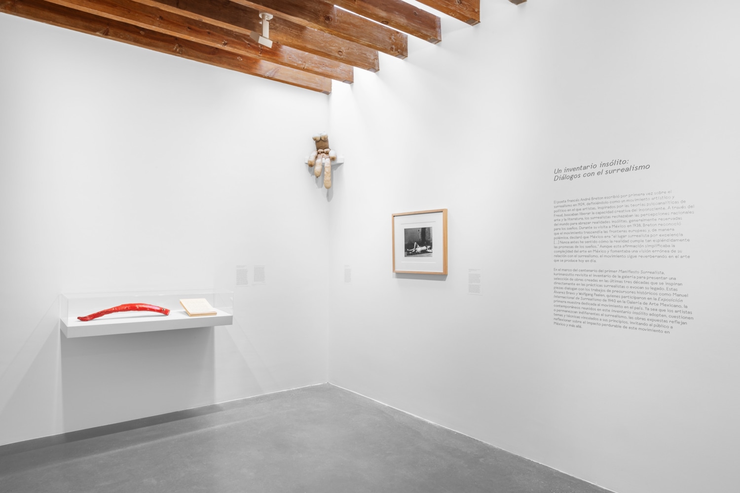 installation view an unlikely inventory: dialogues with surrealism, kurimanzutto mexico city, 2024. photo: gerardo landa / eduardo l&amp;oacute;pez (glr estudio)