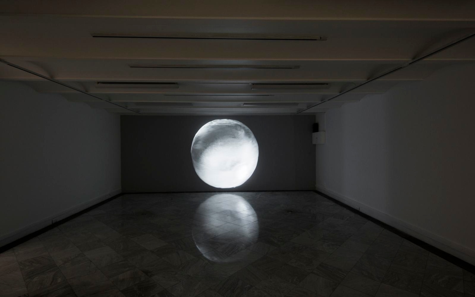 la gran cat&amp;aacute;strofe del ox&amp;iacute;geno, 2015

instalaci&amp;oacute;n de video

proyecci&amp;oacute;n (altura de la esfera): 210 cm

&amp;nbsp;

&amp;nbsp;