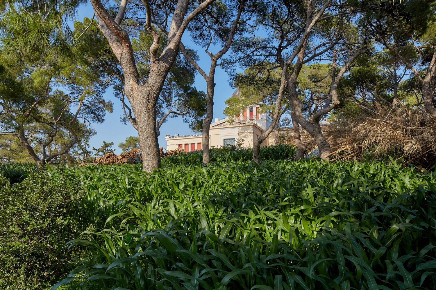 the theater of disappearance, 2017

installation view at national observatory of athens, hill of the nymphs, 2017