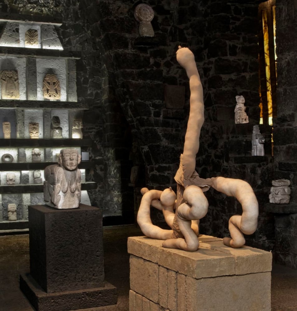 maradona, 2012
alambre de aluminio cubierto con cinta adhesiva, algod&amp;oacute;n natural, medias de lycra, ladrillos de adobe
109 x 95 x 45 cm

&amp;nbsp;

&amp;nbsp;