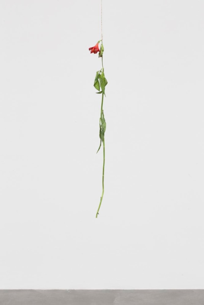 no se puede hacer una revoluci&amp;oacute;n con guantes de seda, kurimanzutto, ciudad de m&amp;eacute;xico, 2016