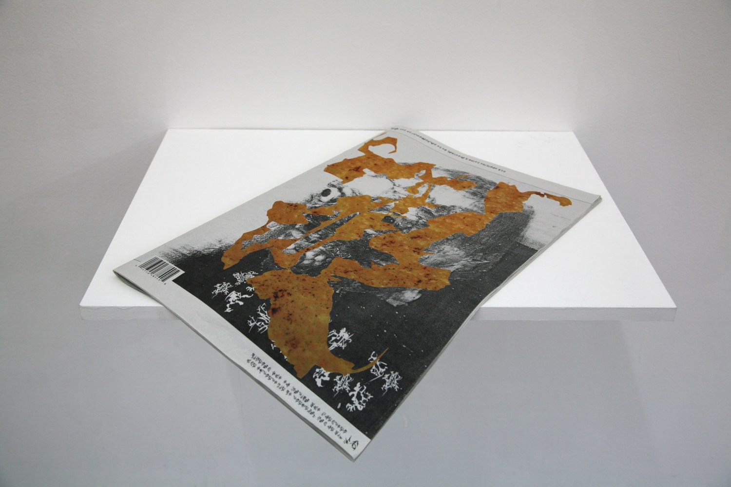 the tongue of the dead, 2012

photo roman. silkscreen on paper

14.76 x 22.44 inches