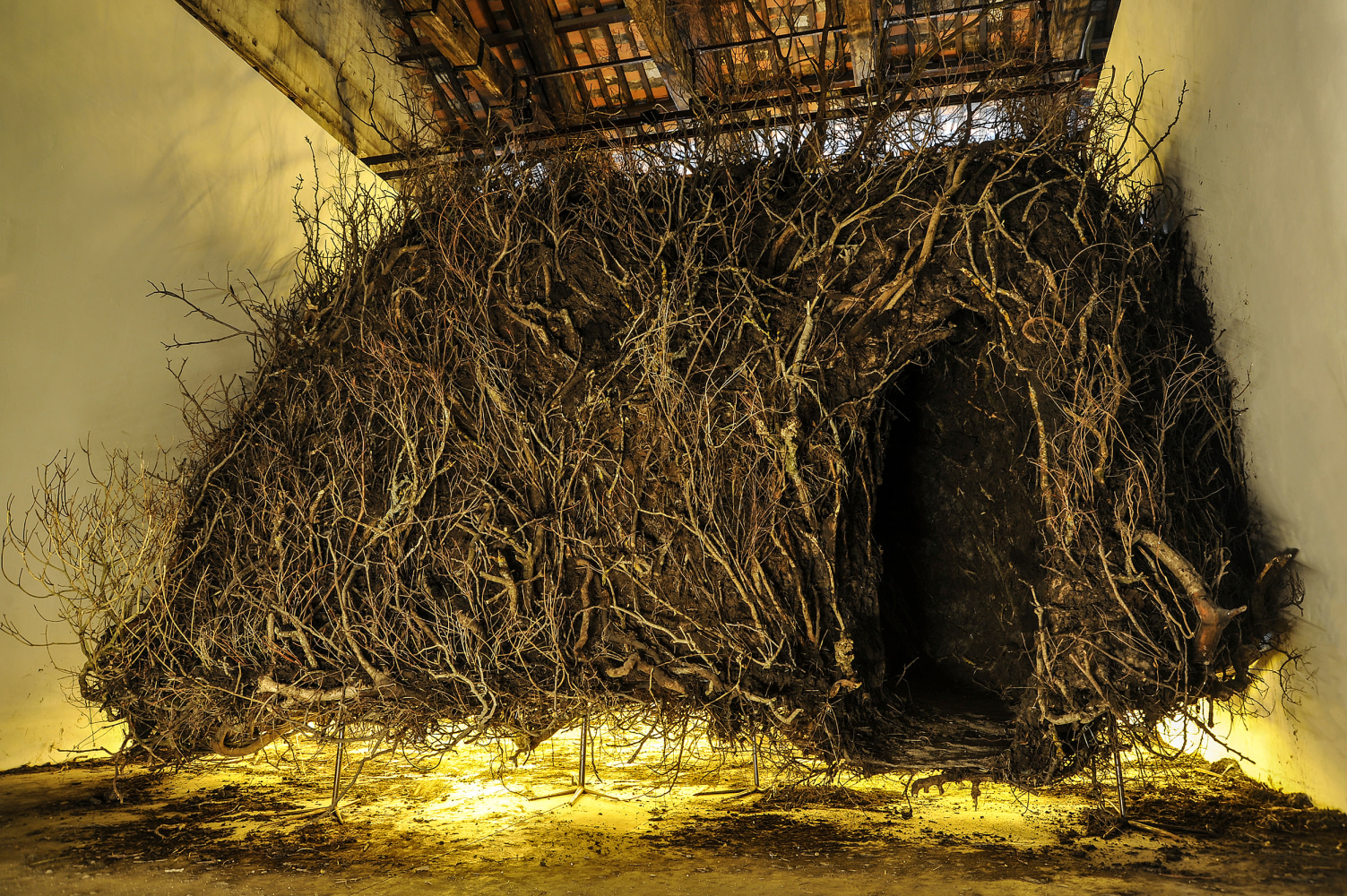 i&amp;#39;m hungry to keep you close. i want to find the words to resist but in the end there is a locked sphere. the funny thing is that you&amp;#39;re not here, nothing is., 2013

varios materiales, aves, ramas, tierra, metal, ropa

dimensiones variables