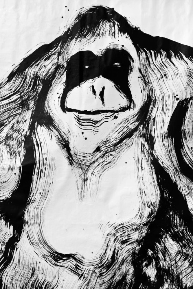 	nuestra imagen actual, kurimanzutto, mexico city, 2012