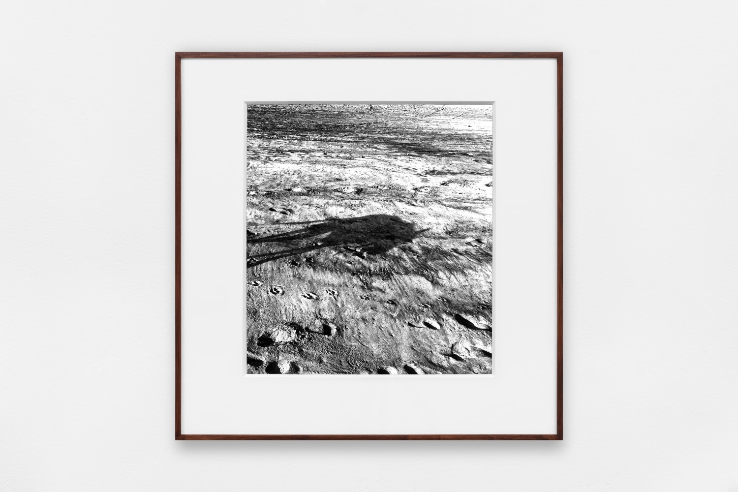 se llamaba sombra 4, 2020 impresi&amp;oacute;n lightjet 11.22 x 14.96 in.