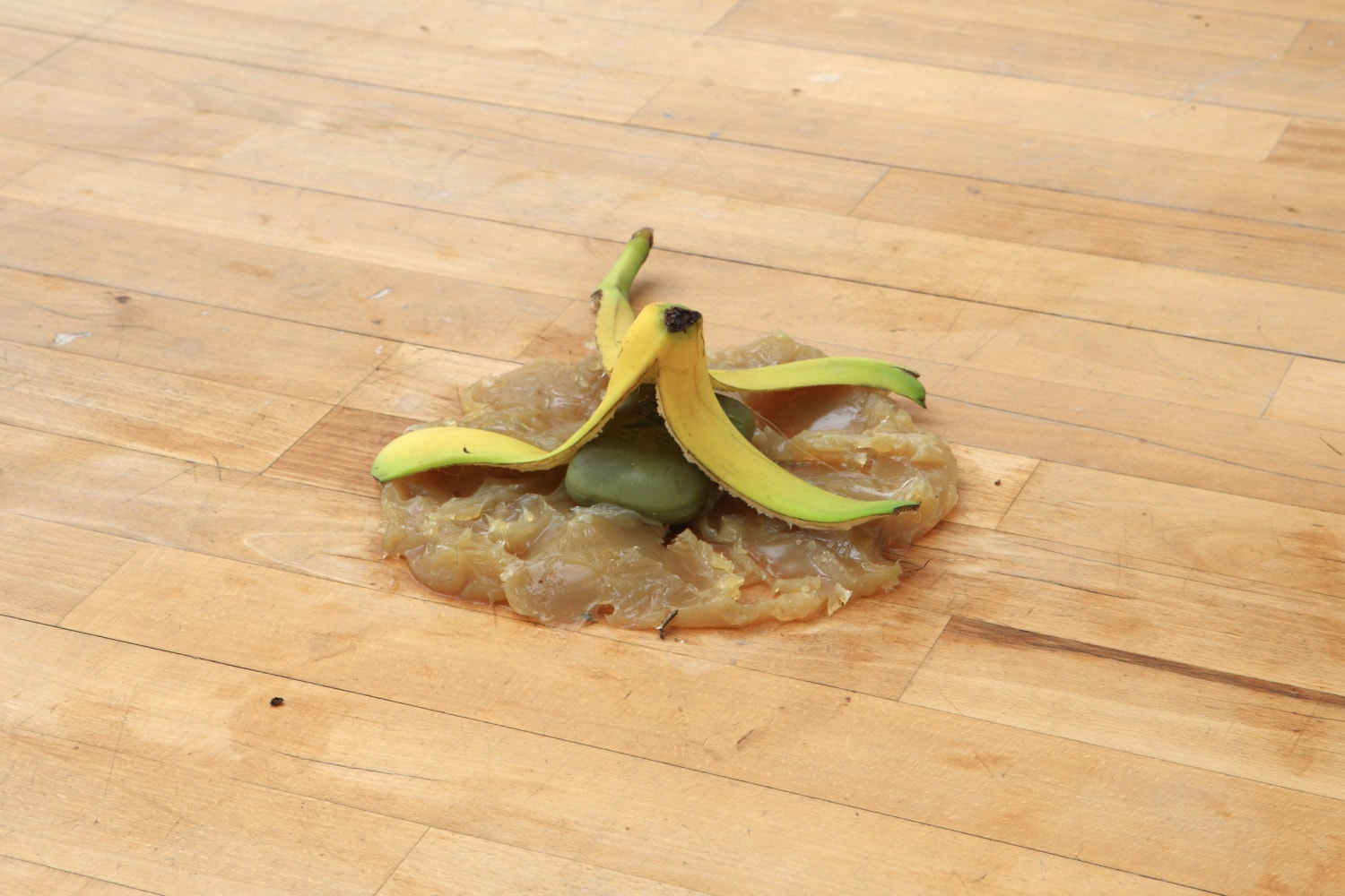 grease, soap, and banana, 2006

grease, soap,&amp;nbsp;banana peel

9.84 in.&amp;nbsp;diameter

&amp;nbsp;