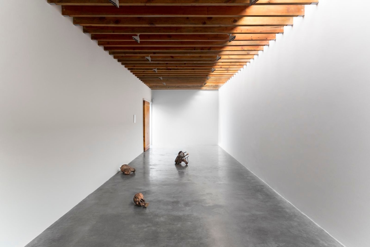 	log dog, kurimanzutto, mexico city, 2013