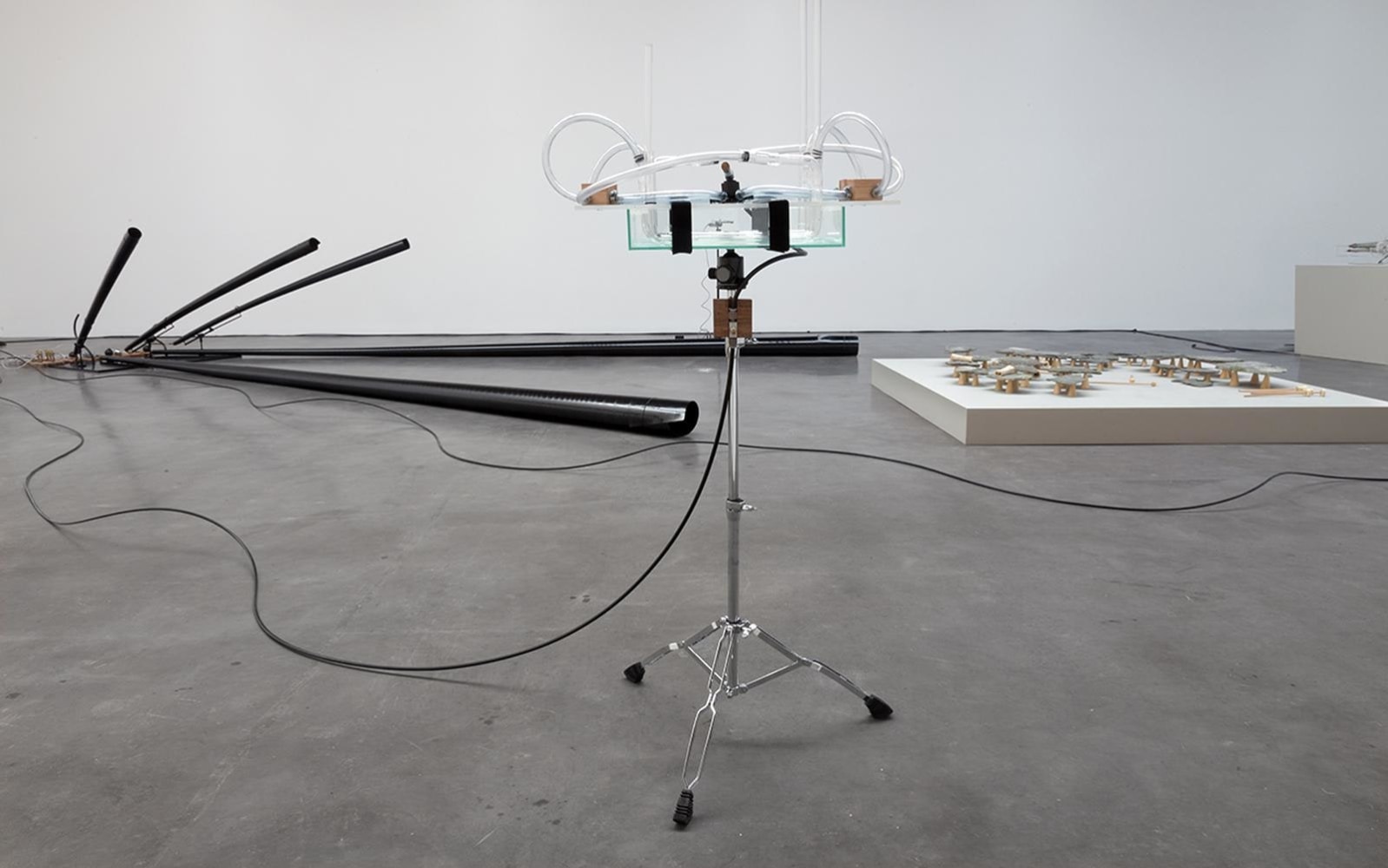 	the reverse sessions, kurimanzutto, mexico city, 2014