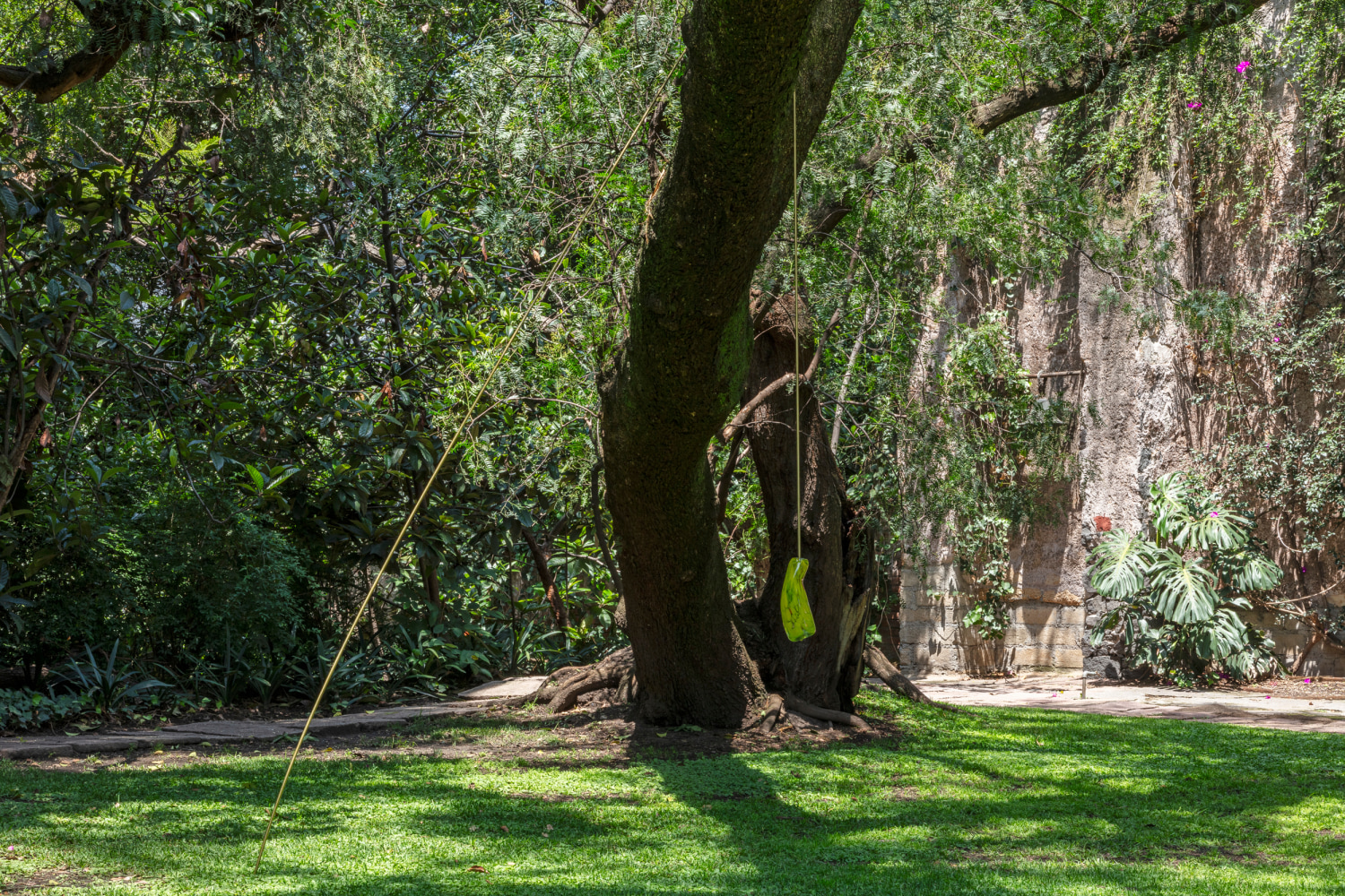 sof&iacute;a t&aacute;boas - dia cron&iacute;a