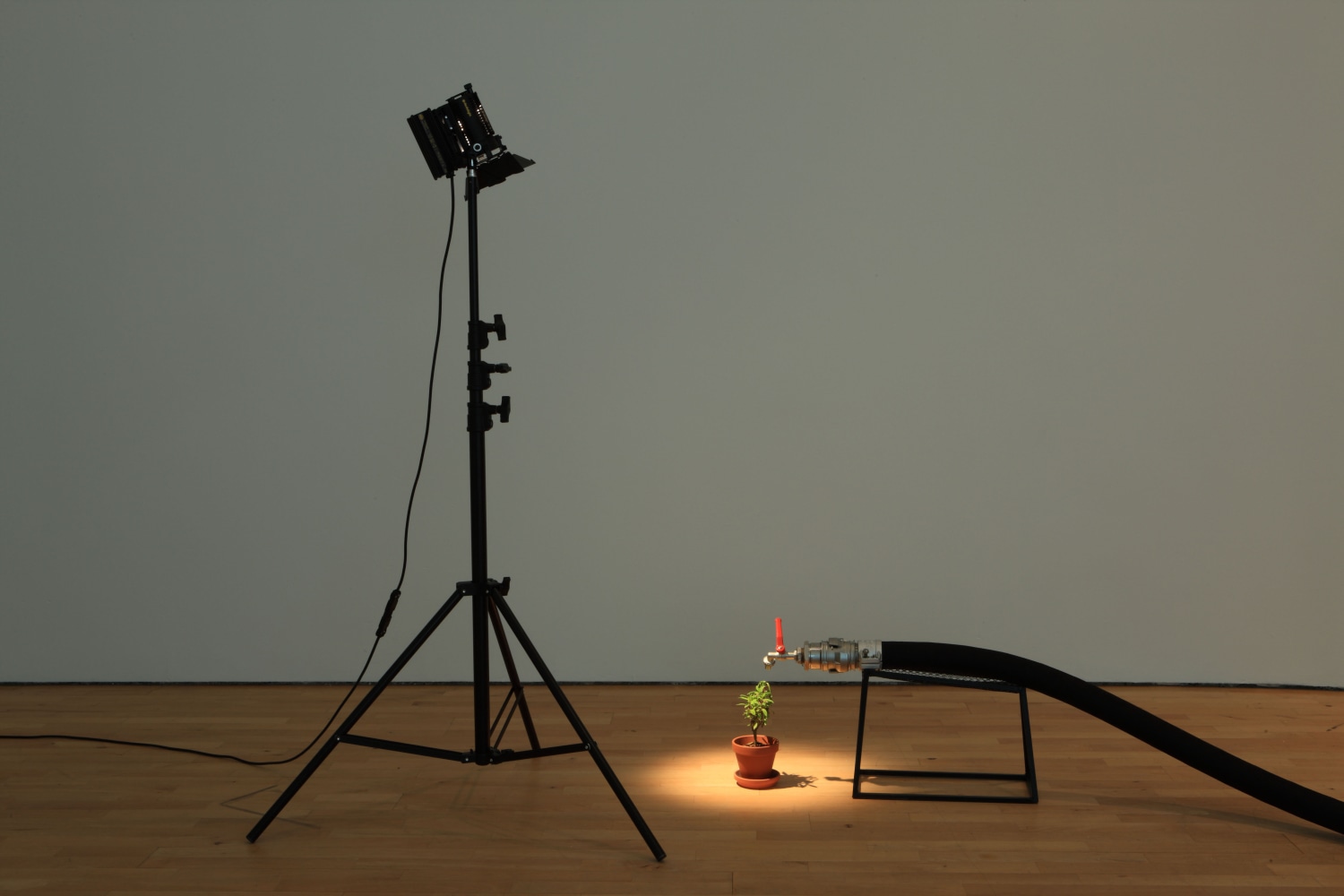 much ado about nothing, 2003

electric generator, water pipe, hose, cables, lamp, plant

variable&amp;nbsp;dimensions

&amp;nbsp;