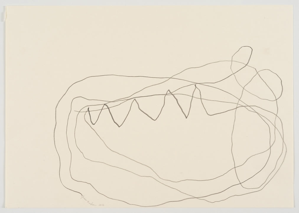 jimmie durham - dibujos