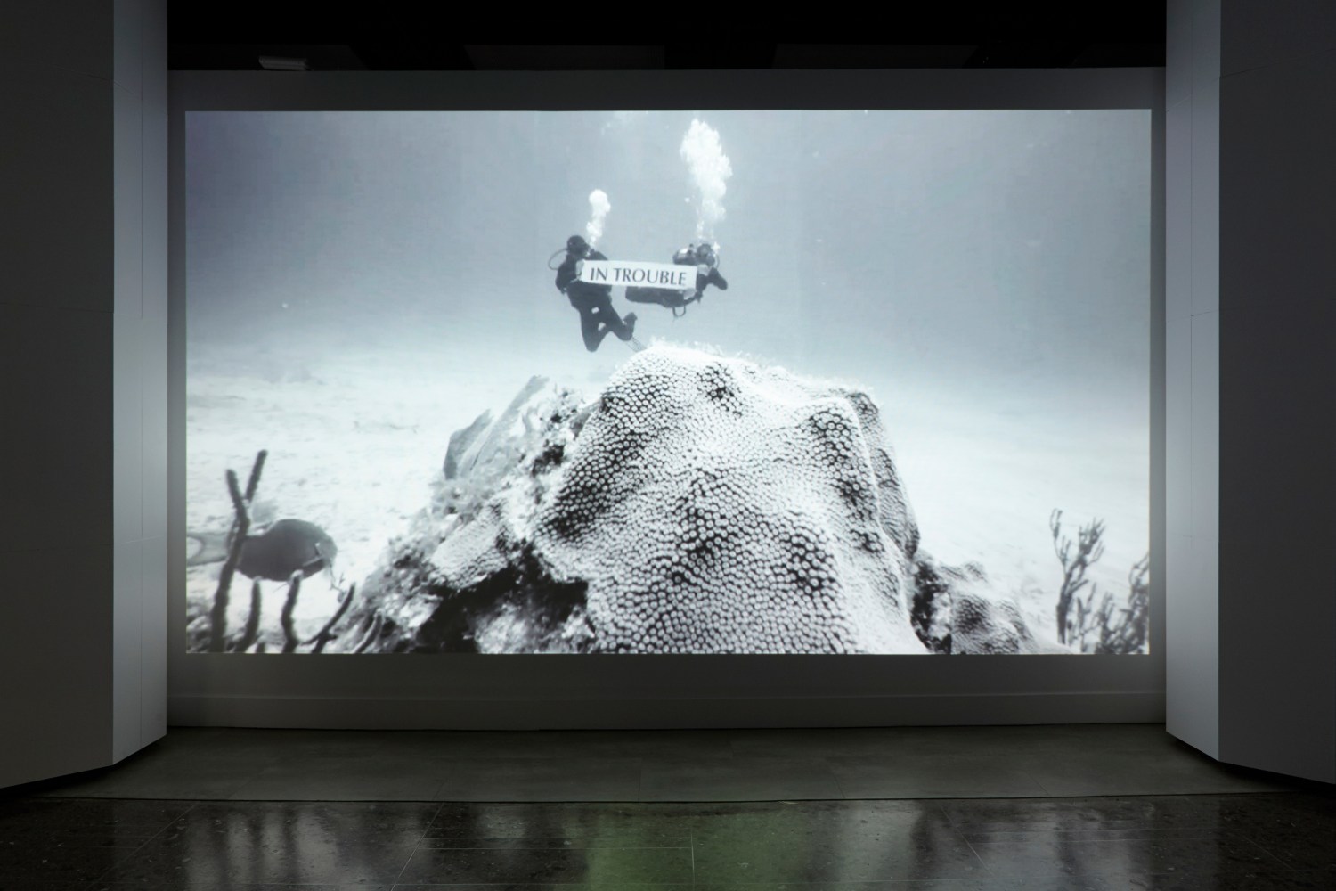 a drought of the blue, 2013

video, color, sonido

9 min 48 sec

vista de instalaci&amp;oacute;n de&amp;nbsp;disidencia.&amp;nbsp;mishkin gallery, nueva york, 2019