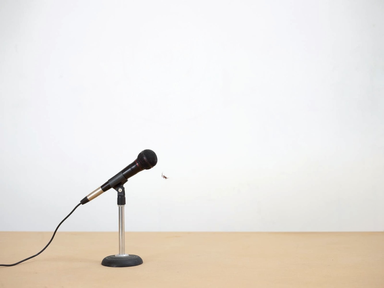 open microphone, 2013

digital print

40.35 x 50.95 in.

&amp;nbsp;

&amp;nbsp;