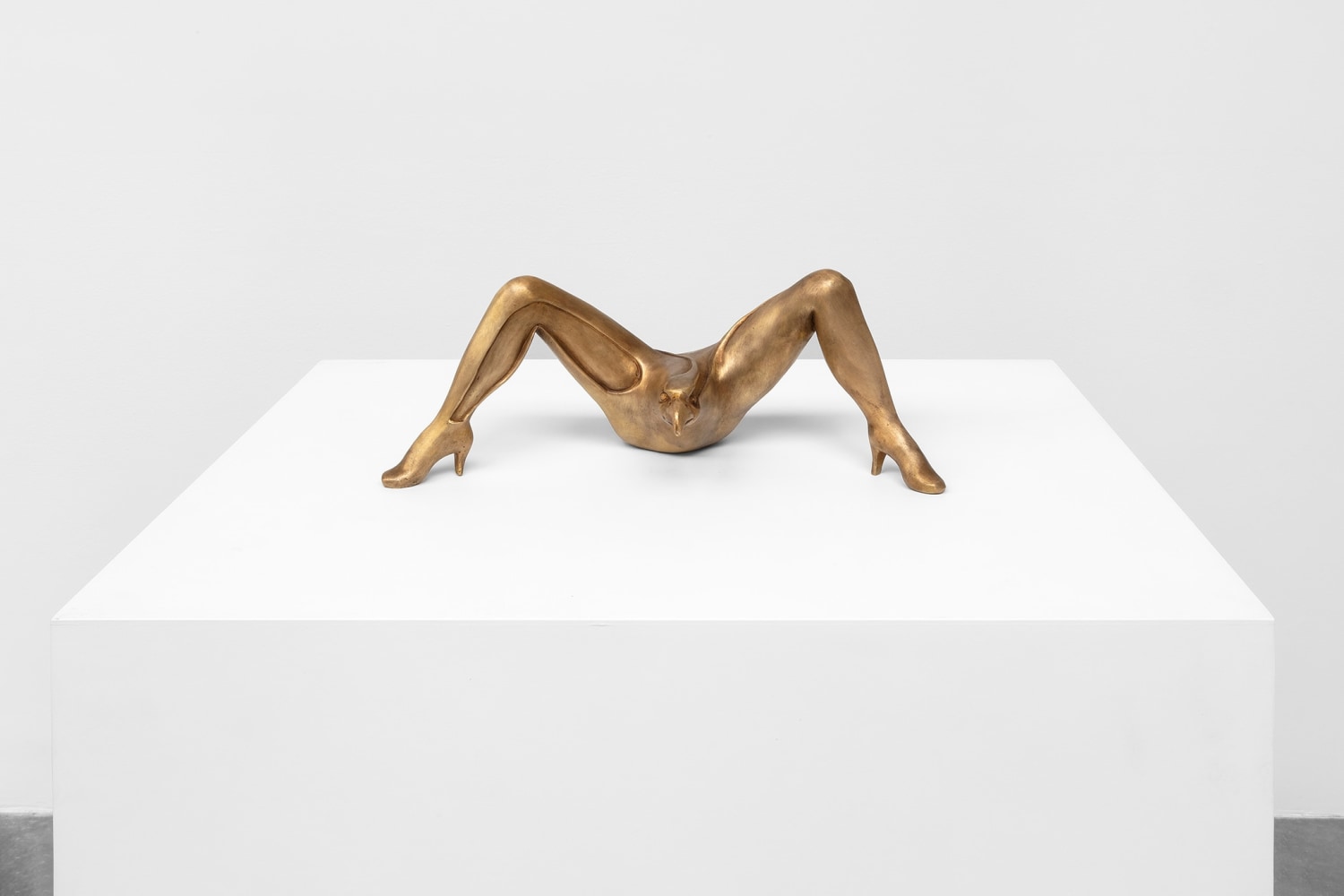 b&amp;aacute;rbara s&amp;aacute;nchez-kane, un cuerpo una instituci&amp;oacute;n, 2021