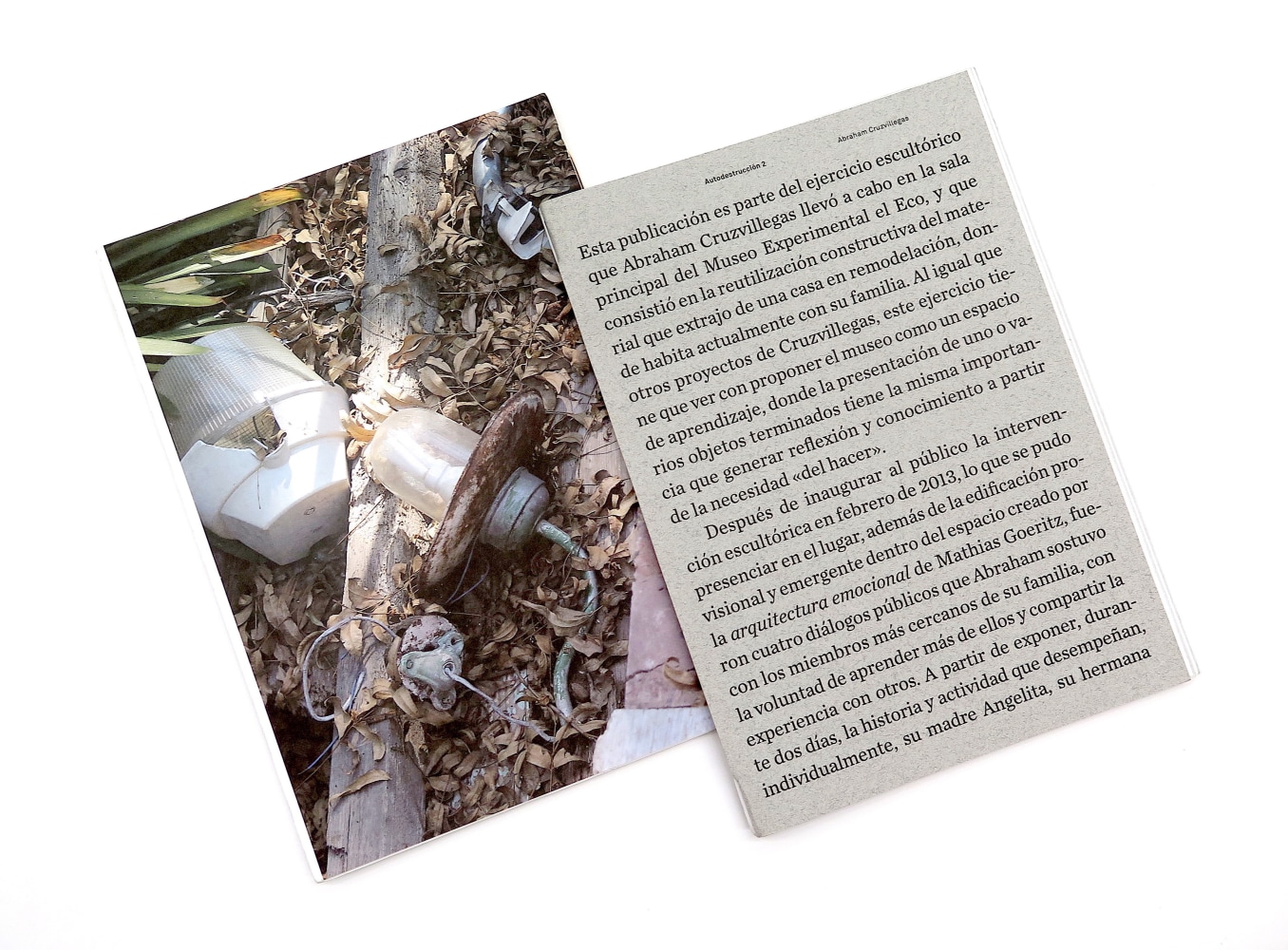 autodestrucci&oacute;n 2