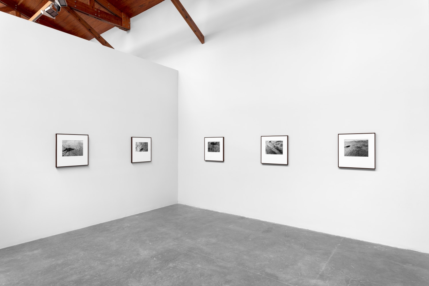 miguel calder&amp;oacute;n,&amp;nbsp;buenavista, guerrero, abril&amp;nbsp;2020 en siembra, kurimanzutto, ciudad de m&amp;eacute;xico, 2020