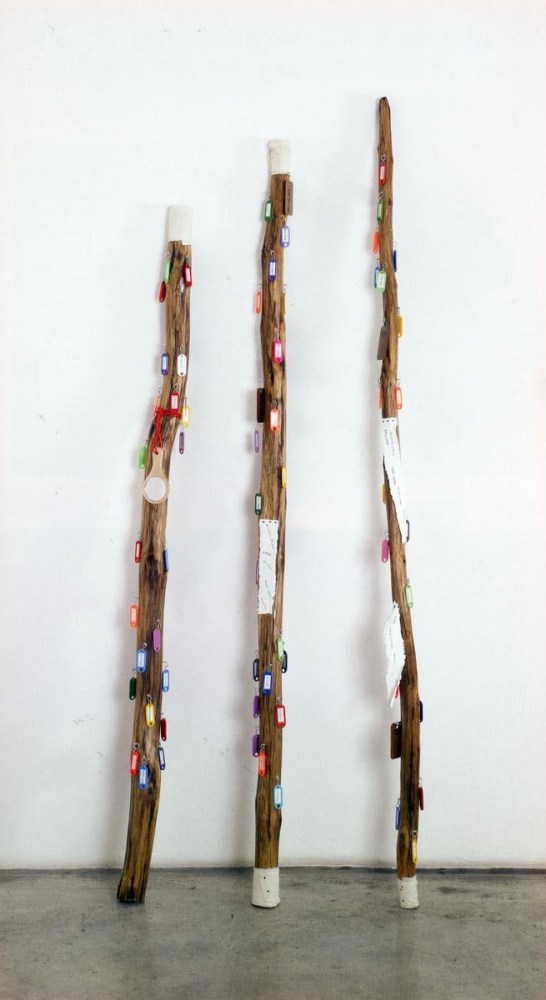 a staff to mark the center of the world at the gwangju biennale, 2004

t&amp;eacute;cnica mixta

200 x 10 cm&amp;nbsp;cada uno

&amp;nbsp;