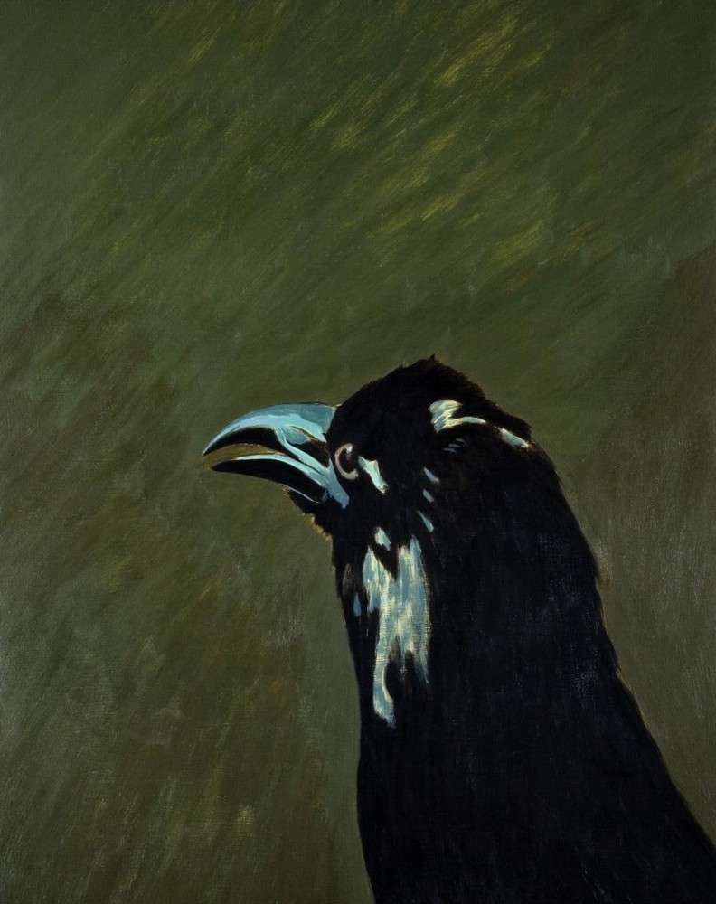 p.p.p. crow (from the series the world doesn&amp;#39;t want me any more and doesn&amp;#39;t know it), 2006

acr&amp;iacute;lico sobre madera

50 x 40 x 2.5 cm

&amp;nbsp;

&amp;nbsp;