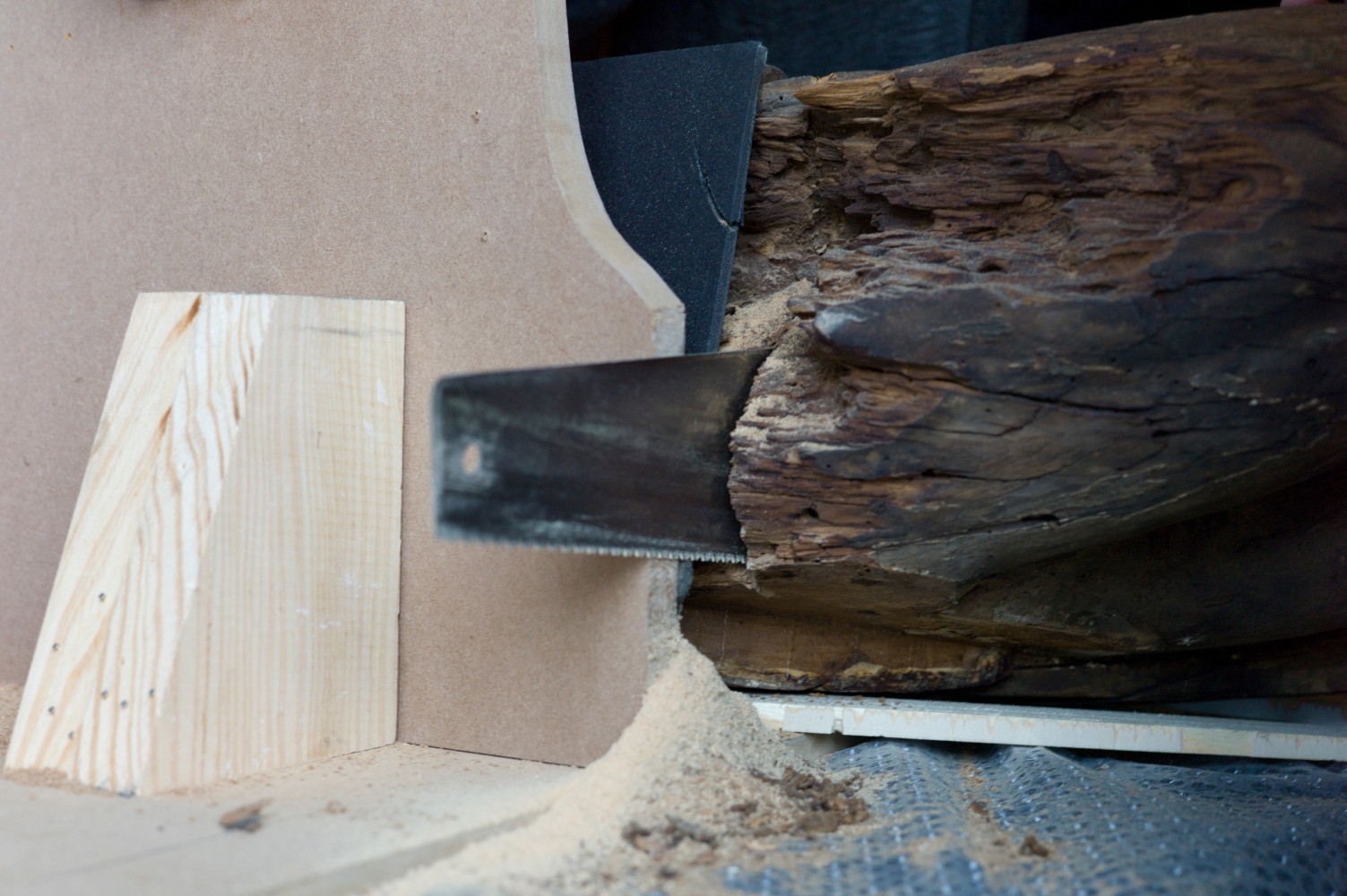 	beauty queen (en proceso), 2013