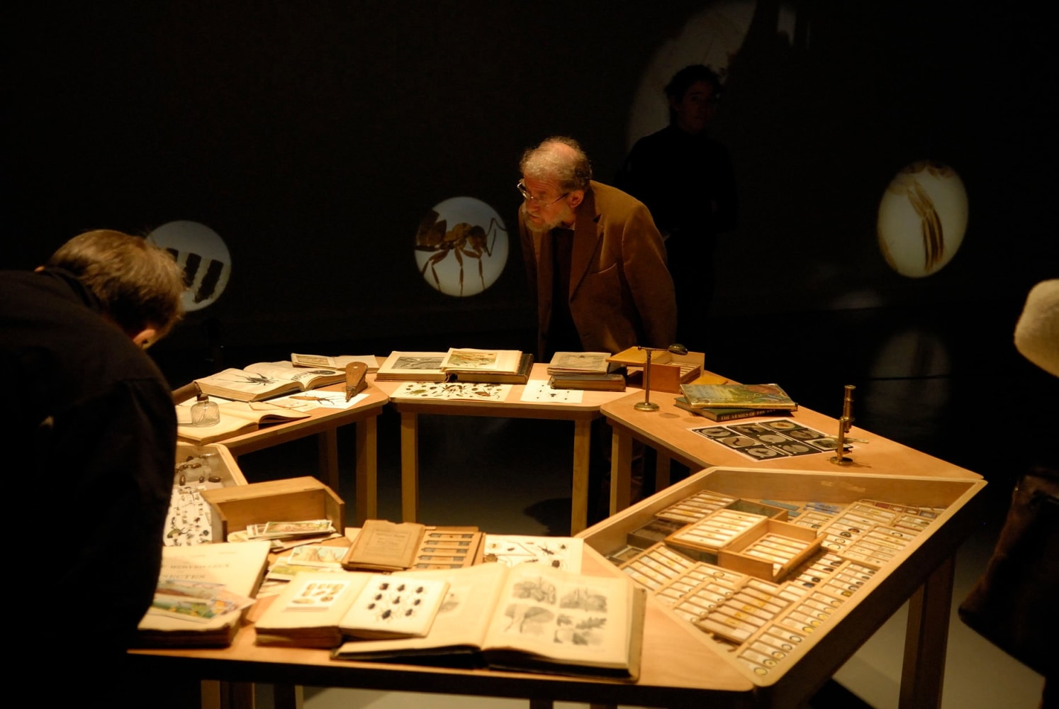 social entomology, 2006-2007

5 proyectores de microscopio con portaobjetos, 6 mesas con material de investigaci&amp;oacute;n, portaobjetos de linterna m&amp;aacute;gica, postales, publicaciones, bombas rociadoras de insecticidas vintage, lupa, microscopio,&amp;nbsp;insectos

dimensiones variables

vista de instalaci&amp;oacute;n de&amp;nbsp;minerva cuevas, van abbemuseum, eindhoven, pa&amp;iacute;ses bajos, 2008