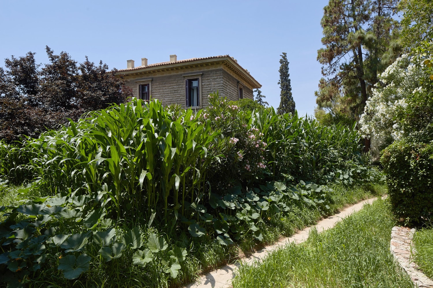 the theater of disappearance, 2017

installation view at national observatory of athens, hill of the nymphs, 2017