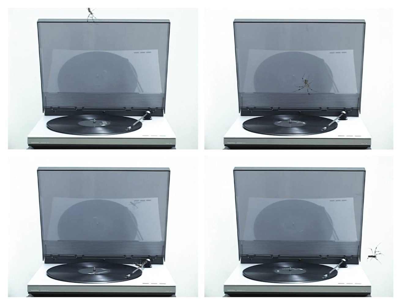 it&amp;#39;s no game, 2008

video

2:30 min

&amp;nbsp;

&amp;nbsp;