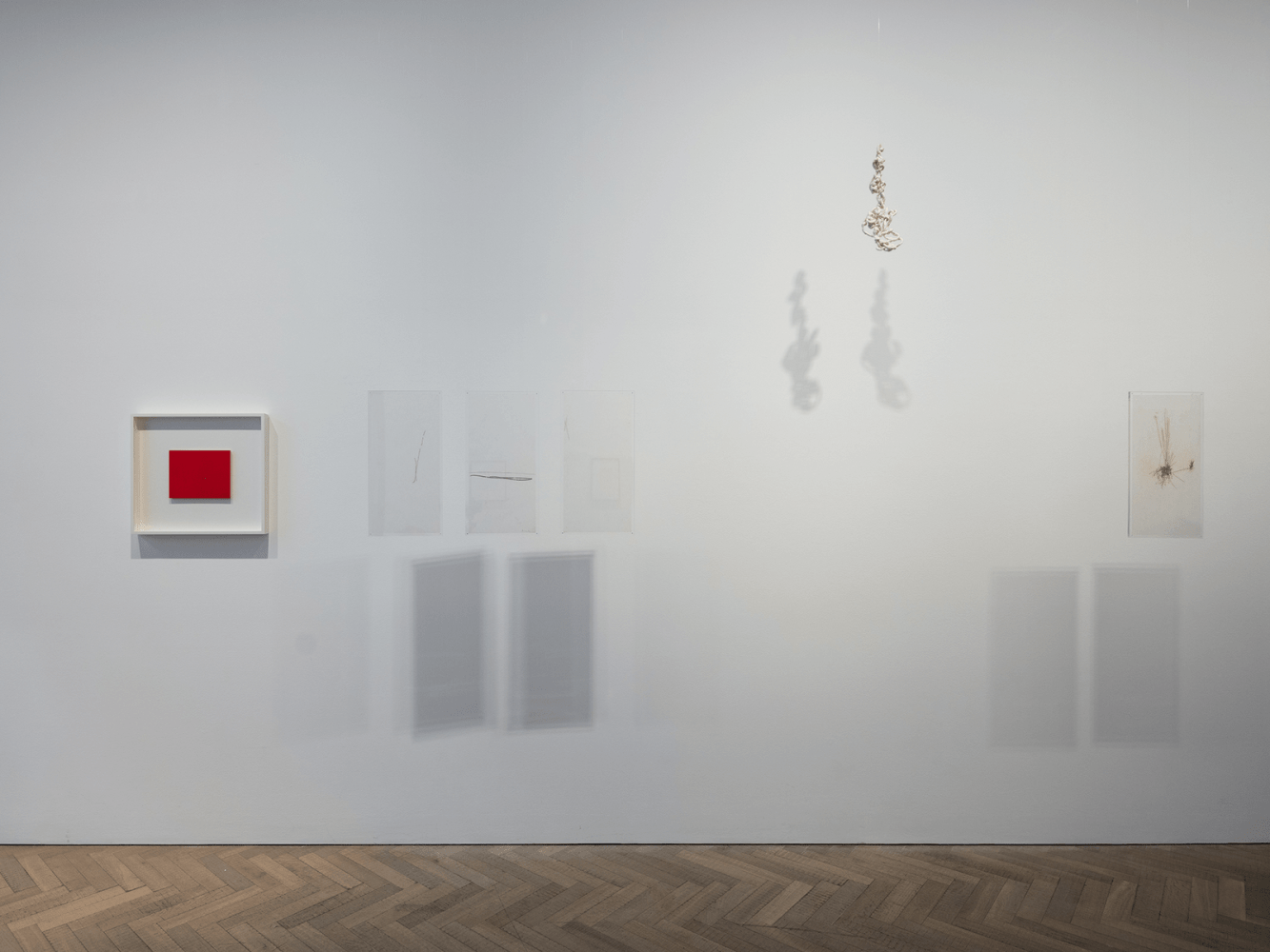 signals: if you like i shall grow, kurimanzutto presentada por thomas dane gallery, londres, 2018