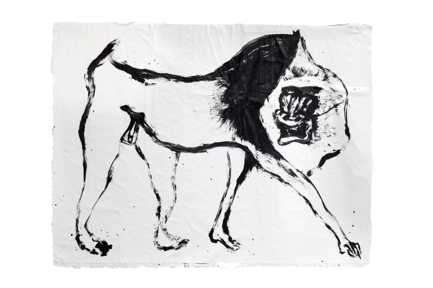 	nuestra imagen actual, kurimanzutto, mexico city, 2012