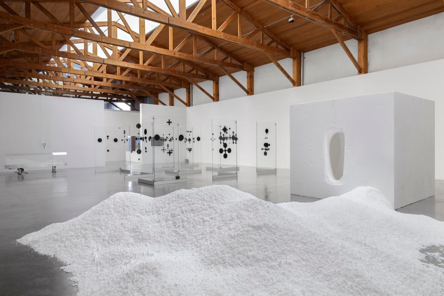 	installation view of&amp;nbsp;xyla&amp;ntilde;ynu. taller de los viernes, kurimanzutto, mexico city, 2016