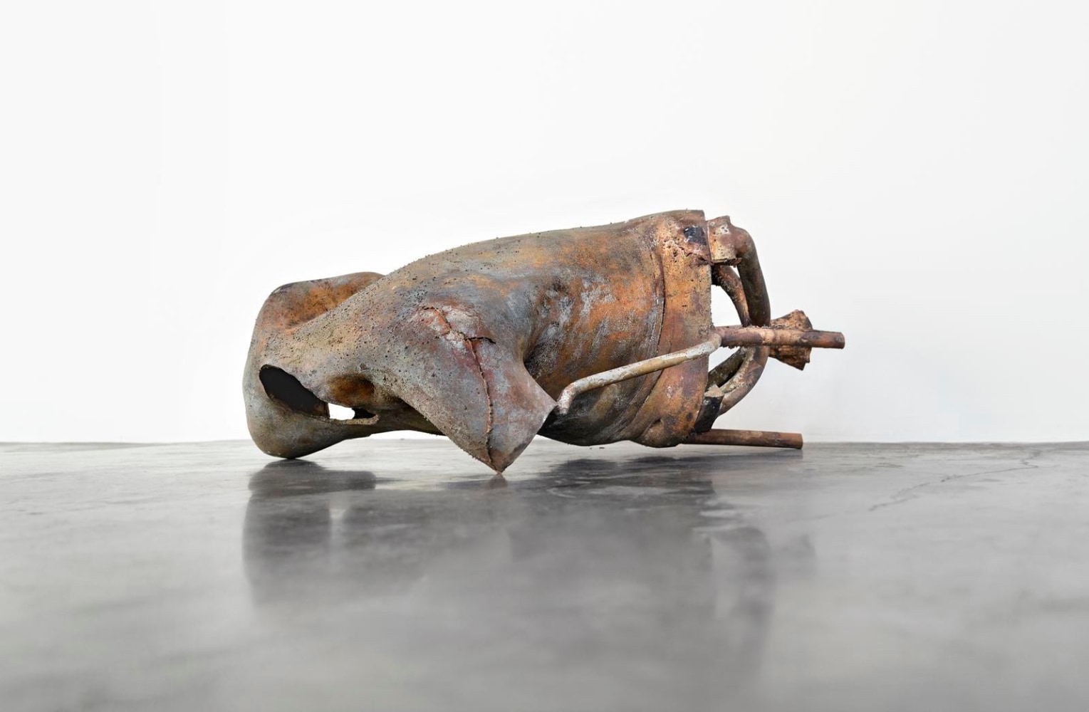 	log dog, kurimanzutto, mexico city, 2013